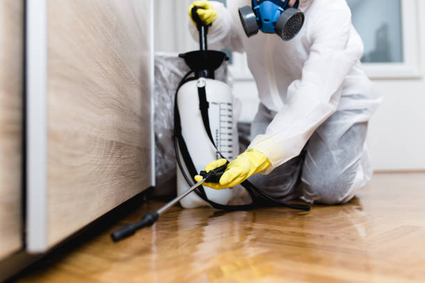 Flea Control Services in Melville, NY