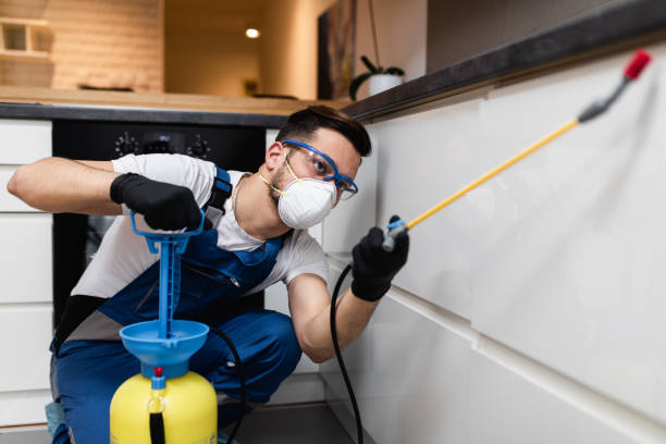 Best Best Pest Control Companies  in Melville, NY
