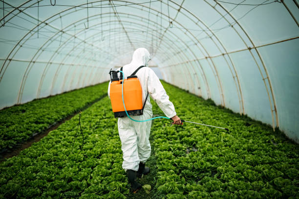 Best Best Pest Control Companies  in Melville, NY