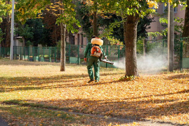 Best Bird Control  in Melville, NY