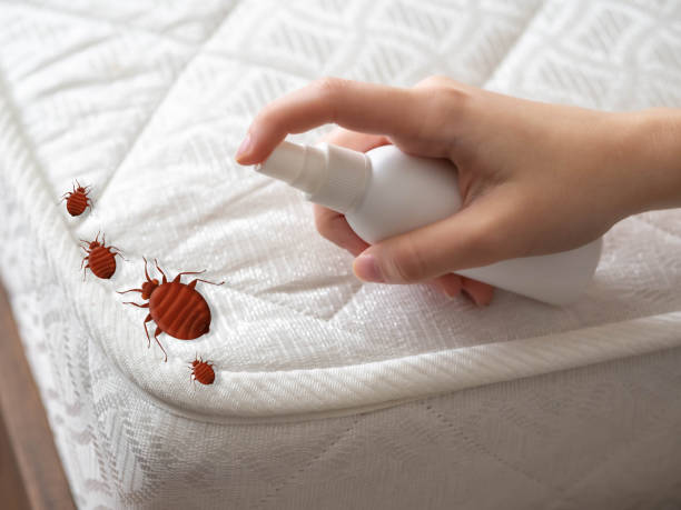 Best Pest Control for Restaurants  in Melville, NY